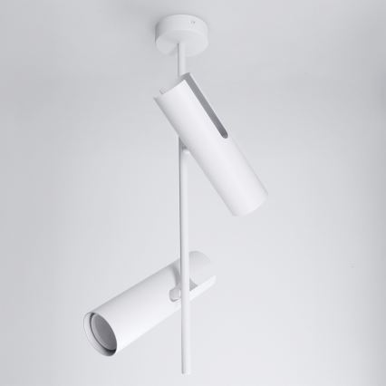 Brilagi - Lampadario LED RGBW dimmerabile su asta BRANCH 2xGU10/6,5W/230V 2700-6500K bianco