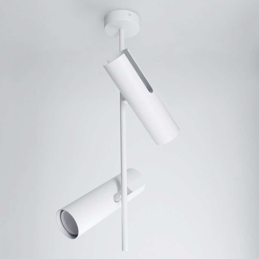 Brilagi - Lampadario LED RGBW dimmerabile su asta BRANCH 2xGU10/6,5W/230V 2700-6500K bianco