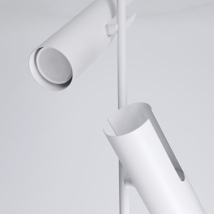 Brilagi - Lampadario LED RGBW dimmerabile su asta BRANCH 2xGU10/6,5W/230V 2700-6500K bianco