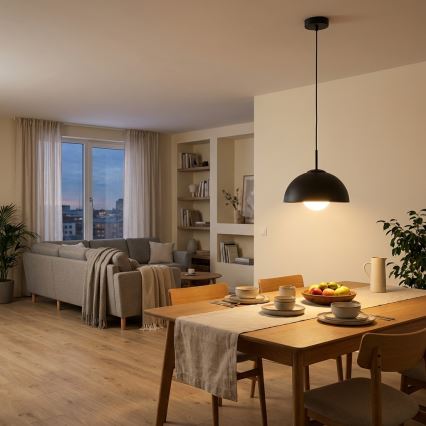 BRILAGI - Lampada a sospensione su cavo COSMO 1xE27/60W/230V Ø 30 cm nera