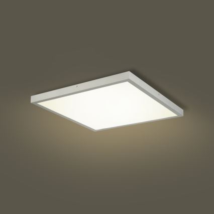 Brilagi - Plafoniera a LED per bagno FRAME LED/50W/230V 3000/4000/6000K 60x60 cm IP44 argento
