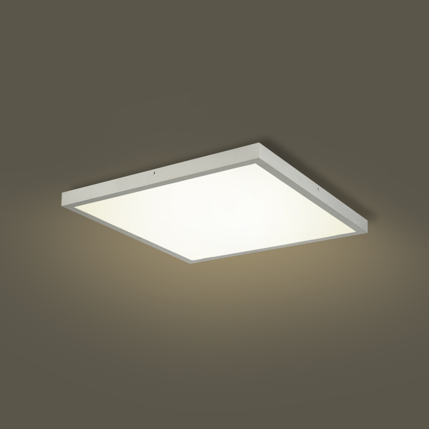 Brilagi - Plafoniera a LED per bagno FRAME LED/50W/230V 3000/4000/6000K 60x60 cm IP44 argento