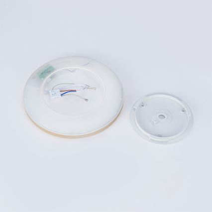 Brilagi - Plafoniera da bagno LED ULTRA SLIM LED/12W/230V Ø 22,5 cm dorata IP54