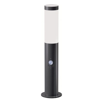 Brilagi - Lampada da esterno con sensore ELIA 1xE27/20W/230V IP44 50 cm antracite