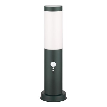 Brilagi - Lampada da esterno con sensore NOVA 1xE27/15W/230V 40 cm IP44 antracite
