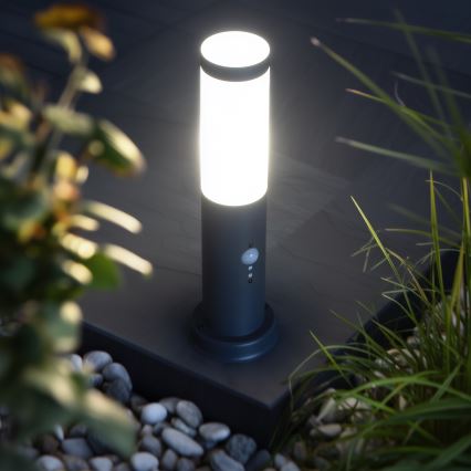 Brilagi - Lampada da esterno con sensore NOVA 1xE27/15W/230V 40 cm IP44 antracite