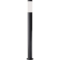 Brilagi - Lampada da esterno dimmerabile a LED ELIA 1xE27/6W/230V 2700-6500K IP44 Wi-Fi 100 cm antracite
