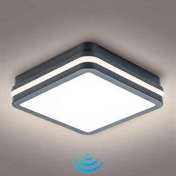 Brilagi - Lampada da esterno LED con sensore BENE LED/18W/230V 22x22 cm antracite IP54