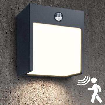 Brilagi - Lampada da parete LED da esterno con sensore TERNI LED/12W/230V antracite IP44