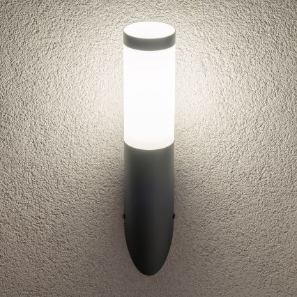BRILAGI - Lampada da parete LED per esterni ELIA 1xE27/7W/230V 4000K IP44 antracite