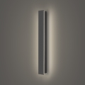 Brilagi - Lampada da parete LED per esterni LINEAR LED/12W/230V 4000K IP65 50 cm antracite