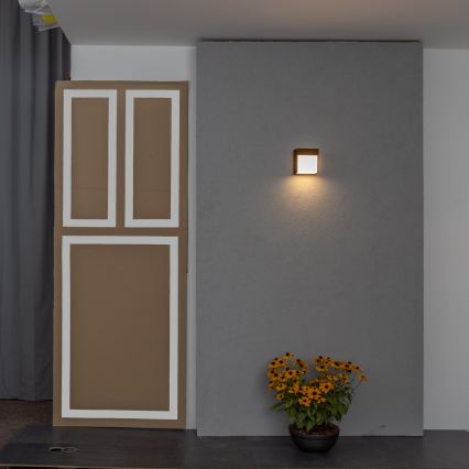 BRILAGI - Lampada da parete LED per esterni TERNI LED/12W/230V marrone IP44