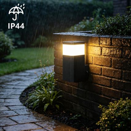 BRILAGI - Lampada da parete esterna con presa SCHUKO PILLAR 1xG9/11W/230V IP44 nera