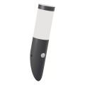 Brilagi - Lampada da parete per esterni con sensore di movimento ELIA 1xE27/20W/230V IP44 antracite