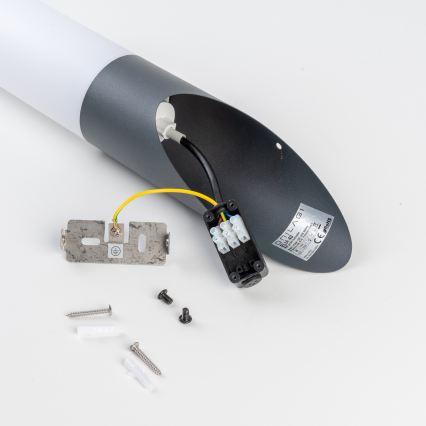 BRILAGI - Lampada da parete per esterni ELIA 1xE27/20W/230V IP44 antracite