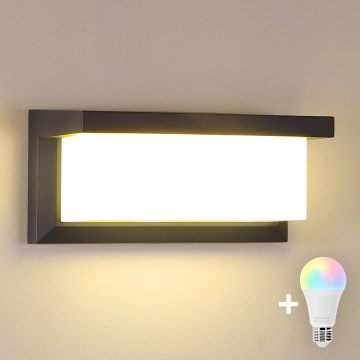 Brilagi - Lampada da parete per esterni LED RGBW dimmerabile BRICKY 1xE27/9W/230V 2700-6500K antracite IP54