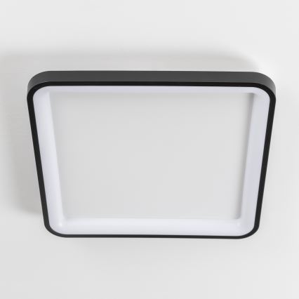 Brilagi - Plafoniera LED dimmerabile FALCON SLIM LED/50W/230V 3000–6500K 50x50 cm nera + telecomando