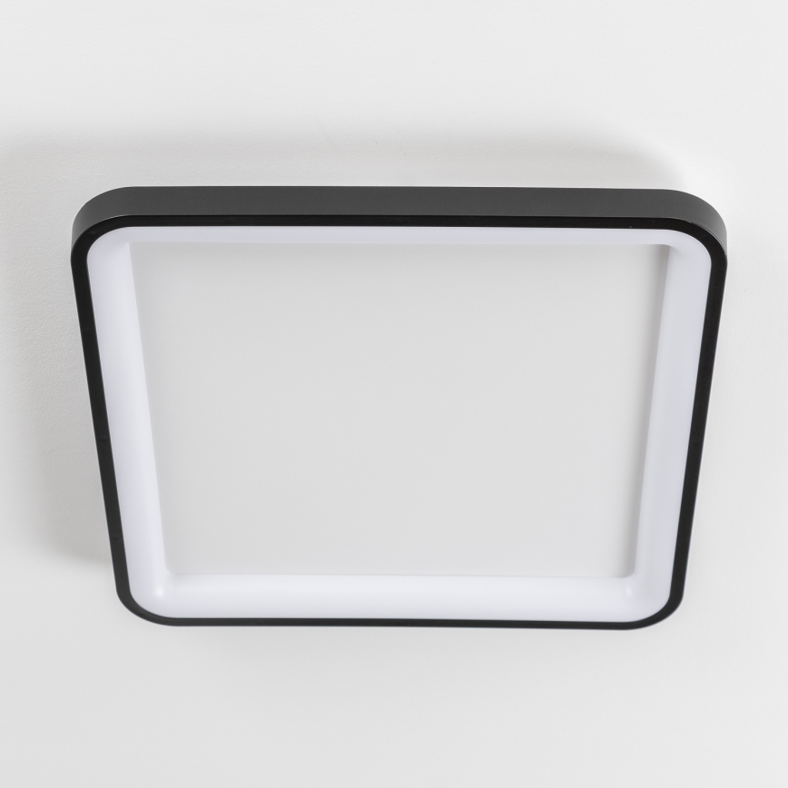 Brilagi - Plafoniera LED dimmerabile FALCON SLIM LED/50W/230V 3000–6500K 50x50 cm nera + telecomando