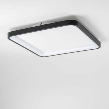 Brilagi - Plafoniera LED dimmerabile FALCON SLIM LED/50W/230V 3000–6500K 50x50 cm nera + telecomando