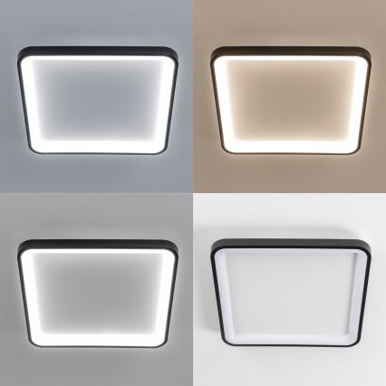 Brilagi - Plafoniera LED dimmerabile FALCON SLIM LED/50W/230V 3000–6500K 50x50 cm nera + telecomando