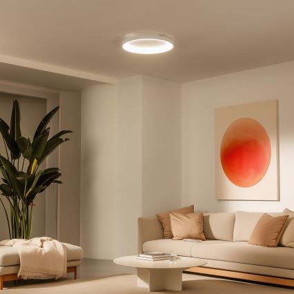 Brilagi - Plafoniera LED dimmerabile FALCON SLIM LED/42W/230V 3000-6500K pr. 50 cm bianco + telecomando