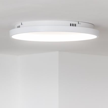 Brilagi - Plafoniera LED dimmerabile FALCON SLIM LED/42W/230V 3000-6500K pr. 50 cm bianco + telecomando