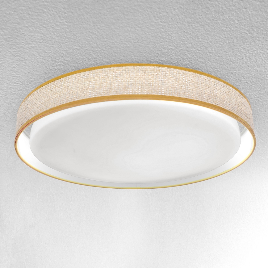 Brilagi - Lampada da soffitto dimmerabile a LED KIANIA LED/48W/230V 3000-6500K diam. 43 cm + telecomando