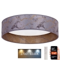 Brilagi - Lampada da soffitto dimmerabile LED VELVET SMART LED/24W/230V diam. 45 cm 2700-6500K Wi-Fi Tuya grigio/oro + telecomando