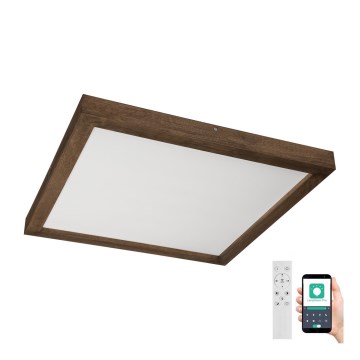 Brilagi - Lampada da soffitto dimmerabile per bagno WOODY FRAME LED/50W/230V rovere noce 60x60 cm 3000-6000K IP44 + telecomando