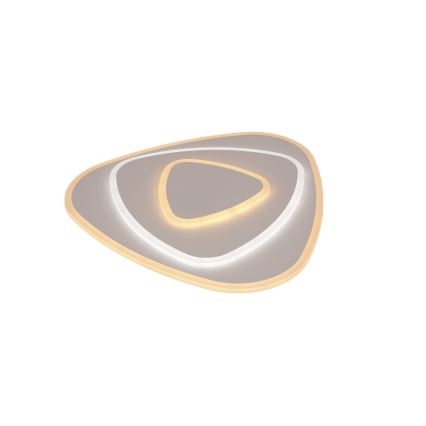 Brilagi - Lampada da soffitto LED dimmerabile MODERN LED/58W/230V 3000-6000K + Telecomando