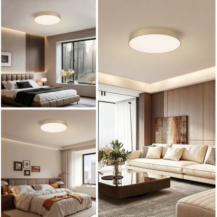 Brilagi - plafoniera LED dimmerabile POOL LED/60W/230V 3000-6000K diam. 50 cm oro + telecomando