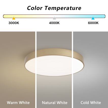 Brilagi - plafoniera LED dimmerabile POOL LED/60W/230V 3000-6000K diam. 50 cm oro + telecomando