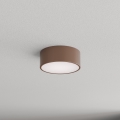Brilagi - Lampada da soffitto per bagno con sensore di movimento e sensore crepuscolare CLARE 1xE27/24W/230V Ø 20 cm marrone IP54