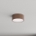 Brilagi - Lampada da soffitto per bagno con sensore di movimento e sensore crepuscolare CLARE 1xE27/24W/230V Ø 20 cm marrone IP54