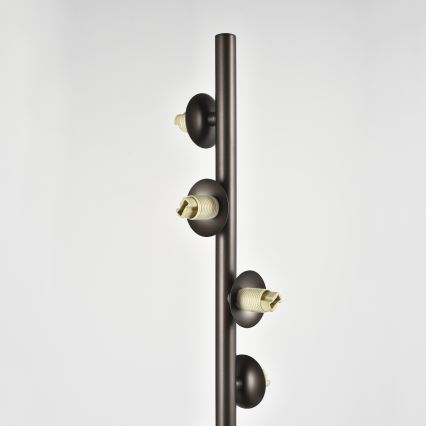 Brilagi - Lampada da terra a LED MILLA 7xG9/3W/230V marrone/marrone fumé