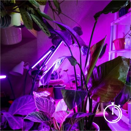 Brilagi - LED Dimmerabile flessibile lampada con piedistallo per la coltivazione di piante VITABLOOM 4xLED/7,5W/230V nero