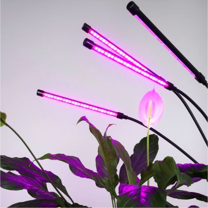 Brilagi - LED Dimmerabile flessibile lampada con piedistallo per la coltivazione di piante VITABLOOM 4xLED/7,5W/230V nero