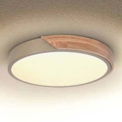 BRILAGI - LED Plafoniera dimmerabile PILANA LED/48W/230V 3000-6500K rovere/beige Ø 40 cm + telecomando
