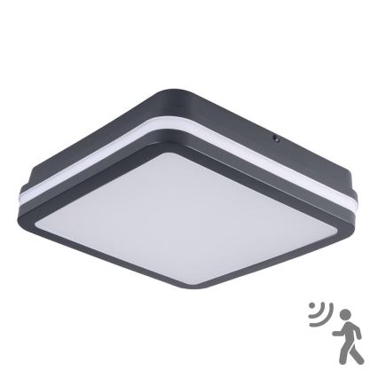 Brilagi - Lampada LED da esterno con sensore BENE LED/18W/230V 22x22 cm IP54