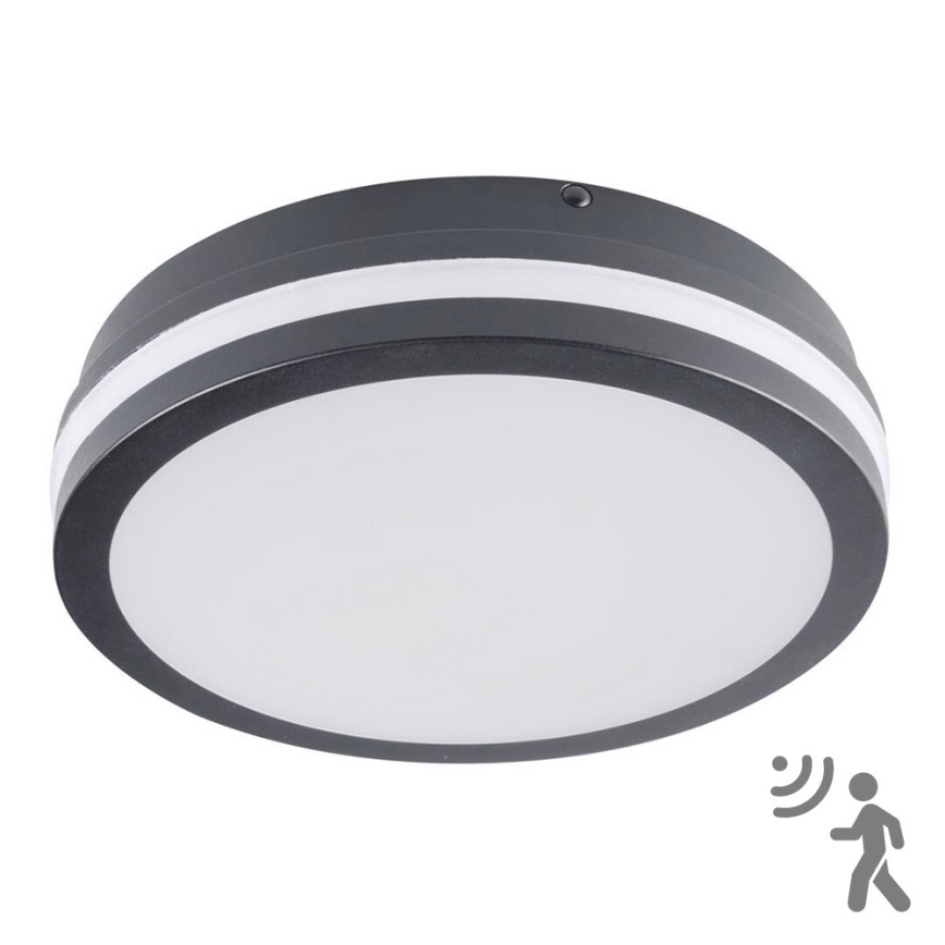 Brilagi - Lampada da esterno LED con sensore BENE LED/18W/230V Ø 22 cm antracite IP54