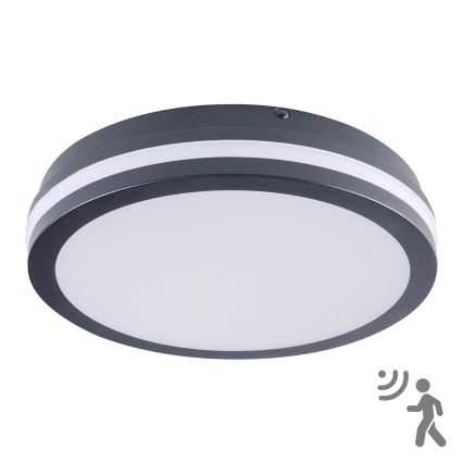 Brilagi - Lampada da esterno con sensore BENE LED/24W/230V Ø 26 cm antracite IP54