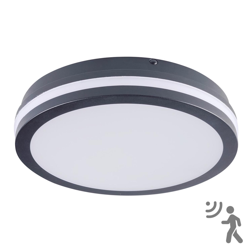 Brilagi - Lampada da esterno con sensore BENE LED/24W/230V Ø 26 cm antracite IP54