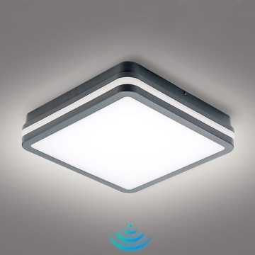 Brilagi - Lampada LED da esterno con sensore di movimento BENE LED/24W/230V 26x26 cm antracite IP54