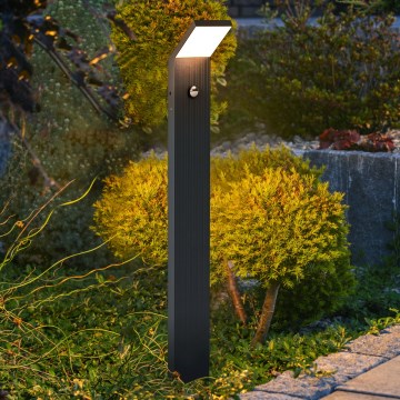 Brilagi - lampada LED da esterno con sensore RIANO LED/8W/230V antracite IP65