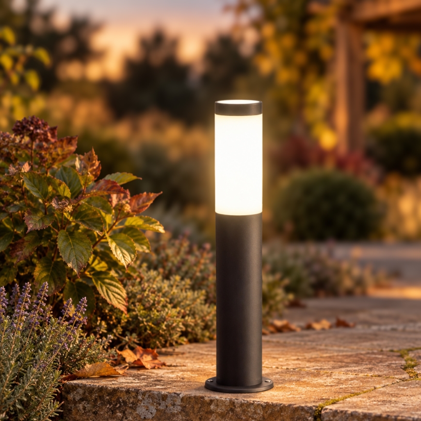 BRILAGI - Lampada LED da esterno ELIA 1xE27/7W/230V 4000K IP44 50 cm antracite