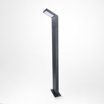 Brilagi - Lampada LED da esterno RIANO LED/8W/230V antracite IP65