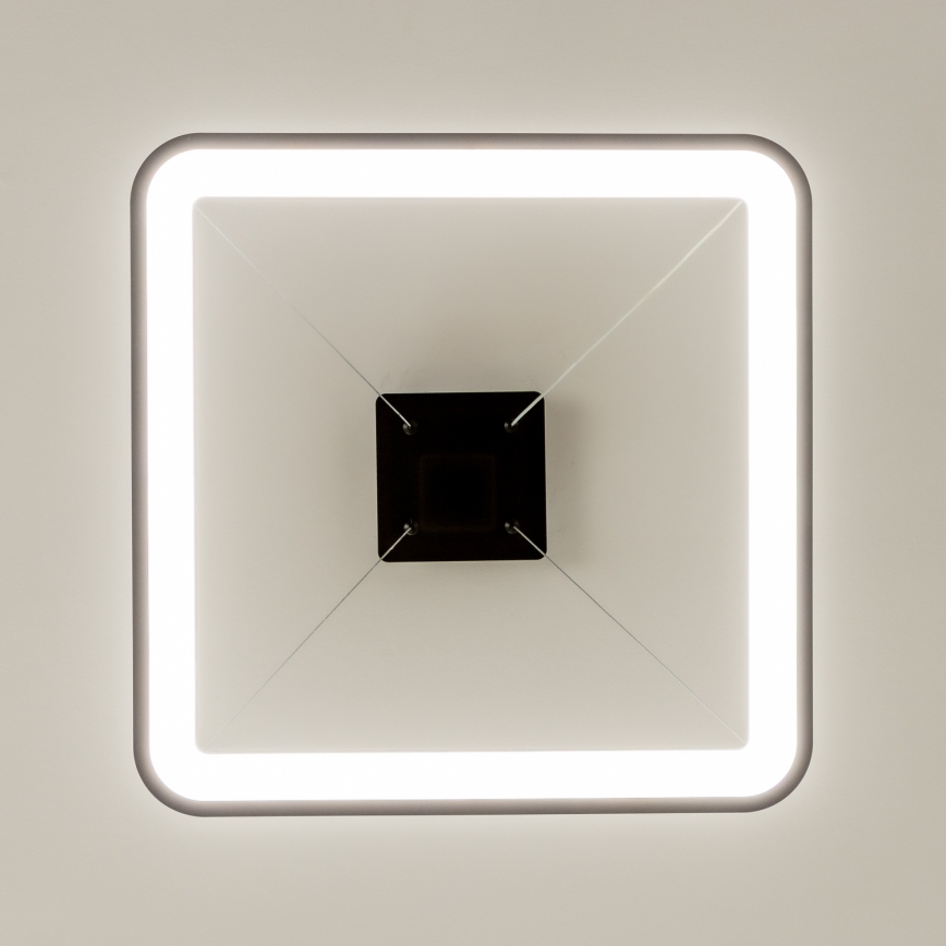 Brilagi - Lampadario LED dimmerabile a sospensione su cavo FALCON SLIM LED/50W/230V 3000-6500K 50x50 cm nero + telecomando