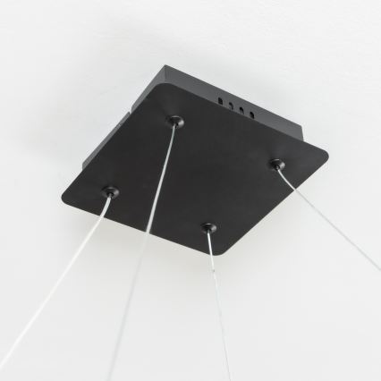 Brilagi - Lampadario LED dimmerabile a sospensione su cavo FALCON SLIM LED/50W/230V 3000-6500K 50x50 cm nero + telecomando