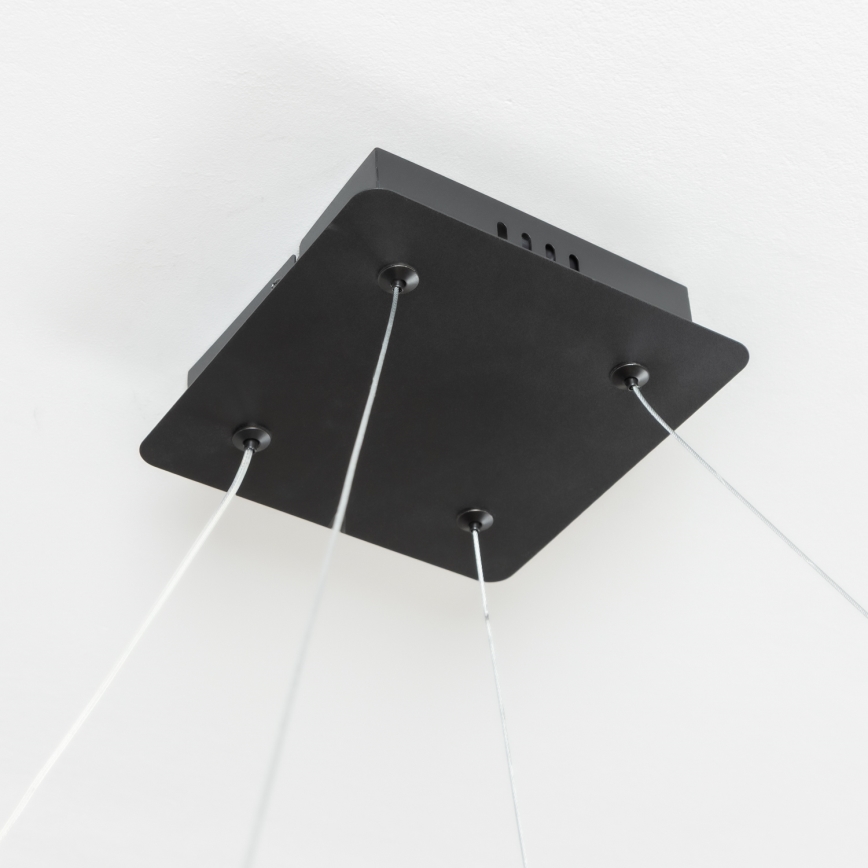 Brilagi - Lampadario LED dimmerabile a sospensione su cavo FALCON SLIM LED/50W/230V 3000-6500K 50x50 cm nero + telecomando