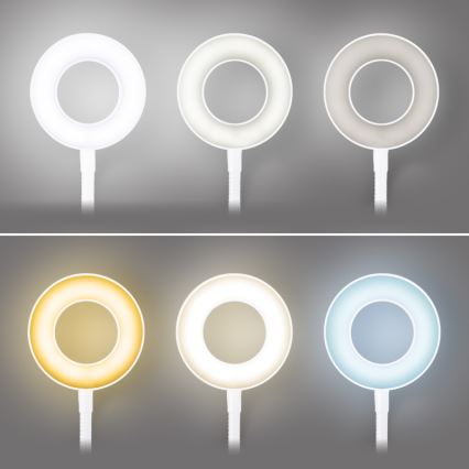 Brilagi - Lampada LED dimmerabile con clip ORBELA LED/8W/5V 3000/4000/5000K bianca